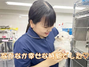 先生たちもモデル犬のお世話☆
